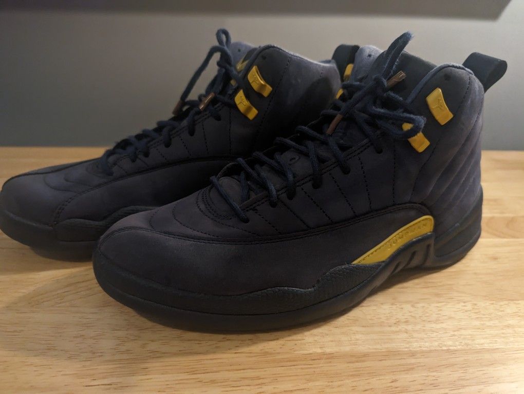 Air Jordan 12 Michigan size