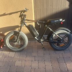 ebike check description