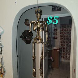 Skeleton