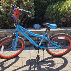 Bike Boys Schwinn