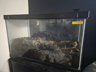 10 gallon Tank with Lid