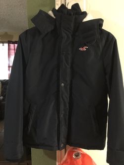 Hollister Men Jacket