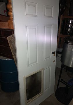 Dog door