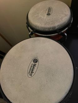 Bongo