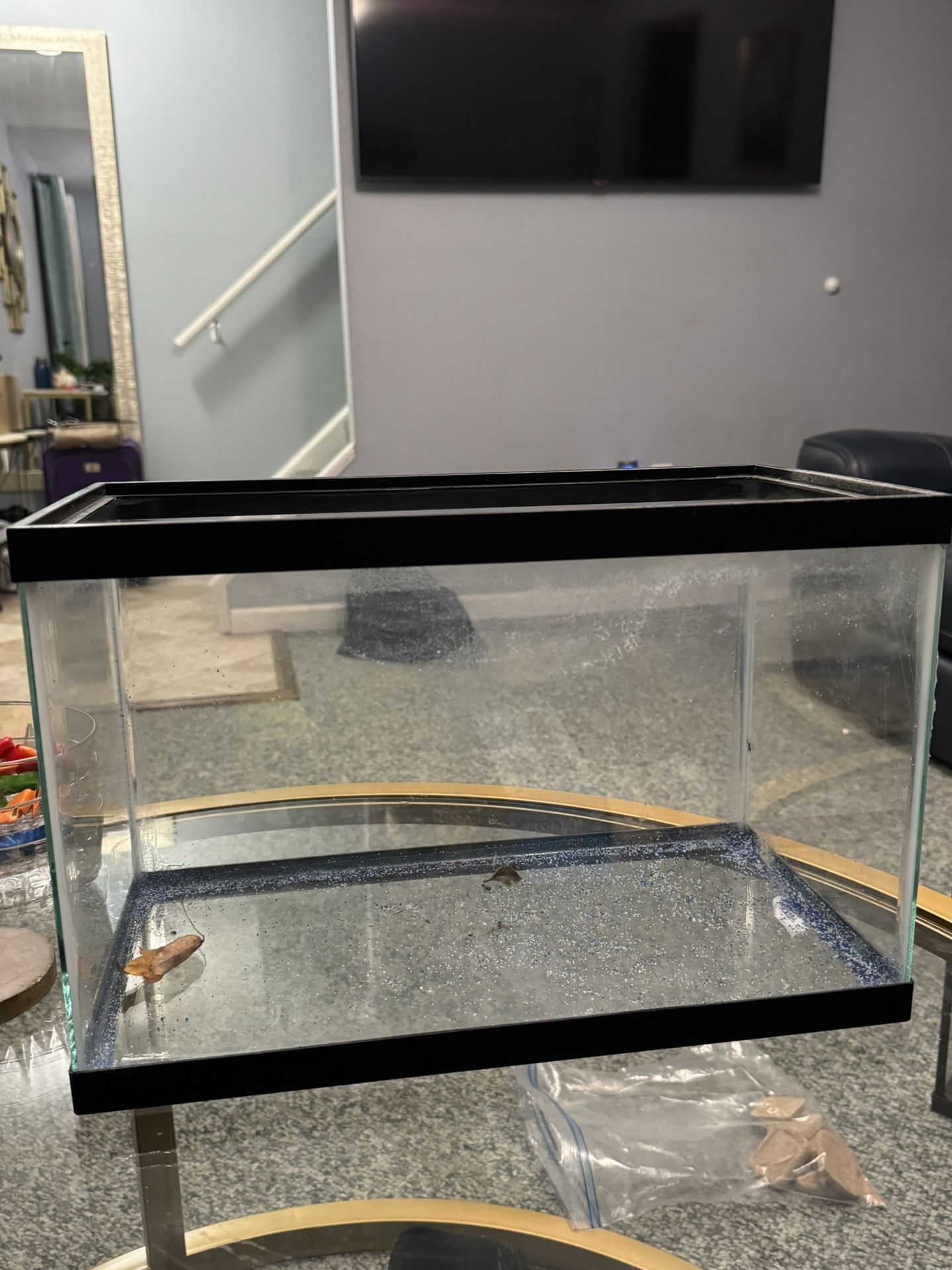 10 Gallon Fish Tank W/ Decor/ Accessories 