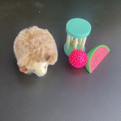 Like New - Our Generation Doll Set - Hedgehog Set - Originally $7.99 - asking $5.00 OBO