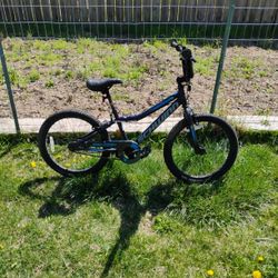 Schwinn 20 Inch 