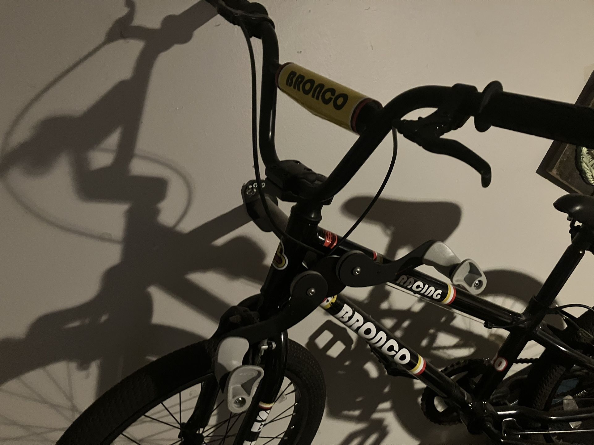 Bronco BMX Bike W/ Wall Mounts - $180