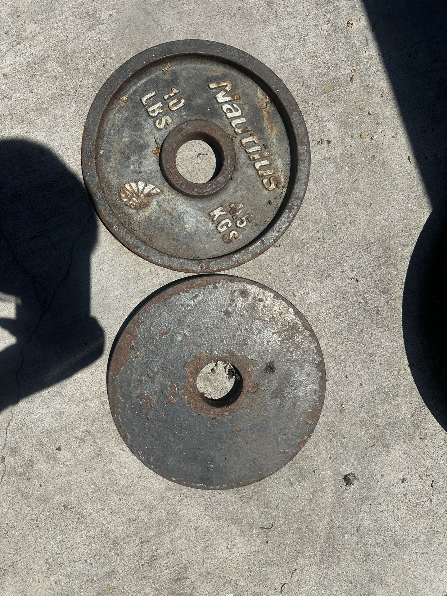 10 Pound Olympic Bar