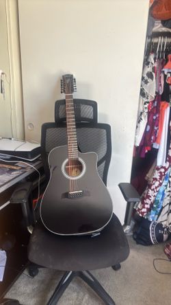 12 string guitar
