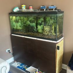 Fish Tank with Everything 