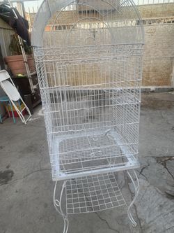 Bird Cage