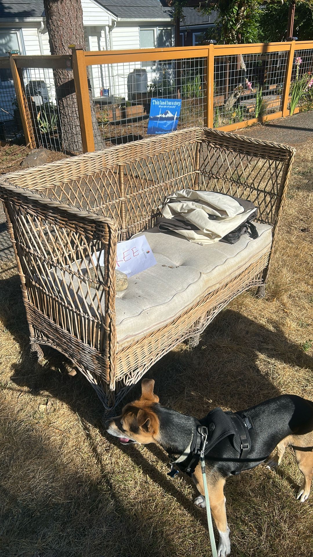 Curb Alert! Super Cool Vintage Loveseat