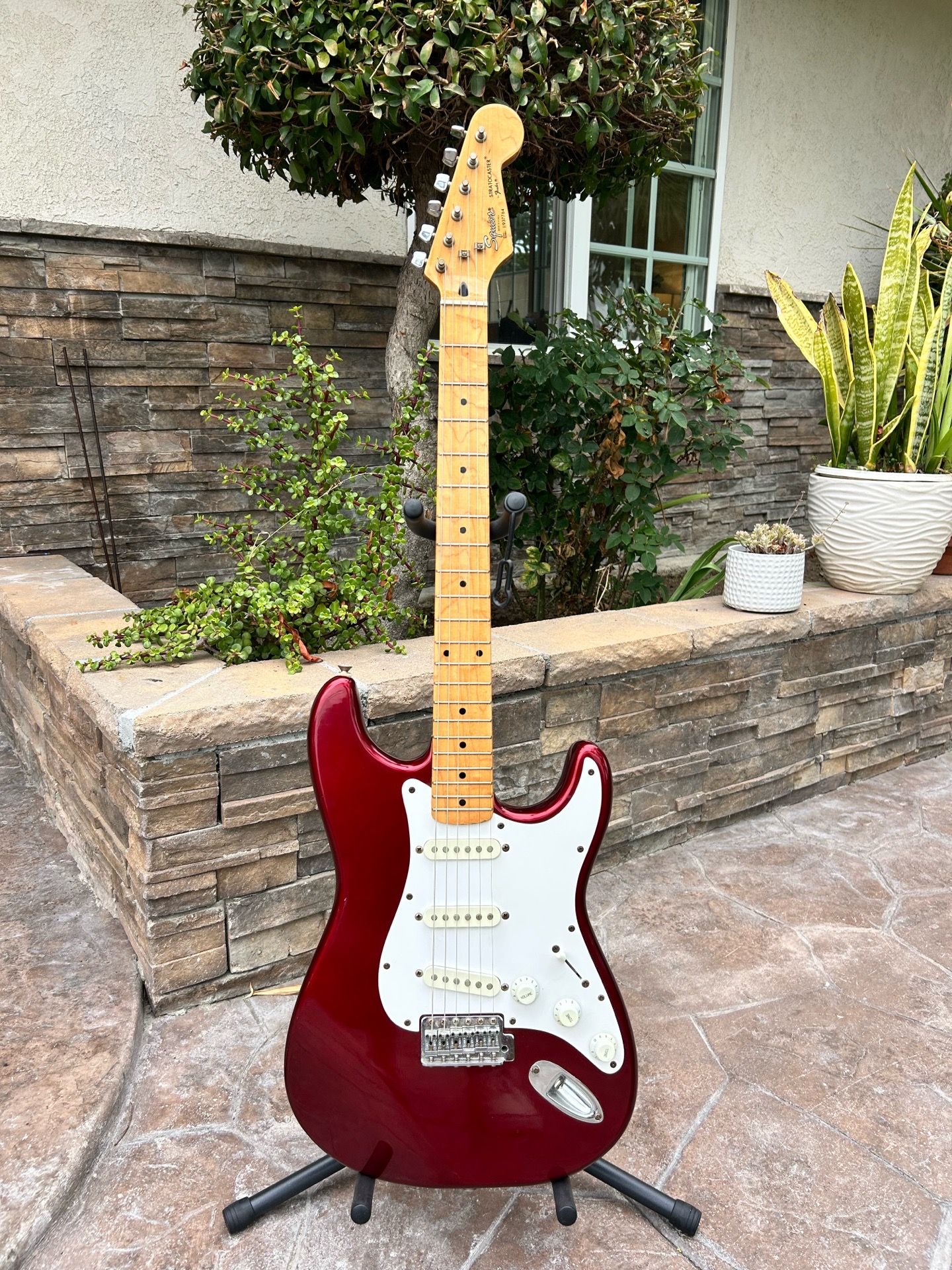Beautiful red guitar