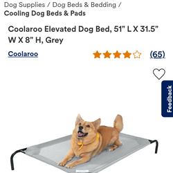 Coolaroo Elevated dog bed