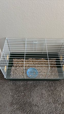 Bunny cage and padding