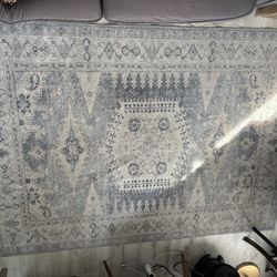 5x7 Rug - Machine Washable - Blue And Beige 
