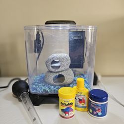 Essential items for betta fish
