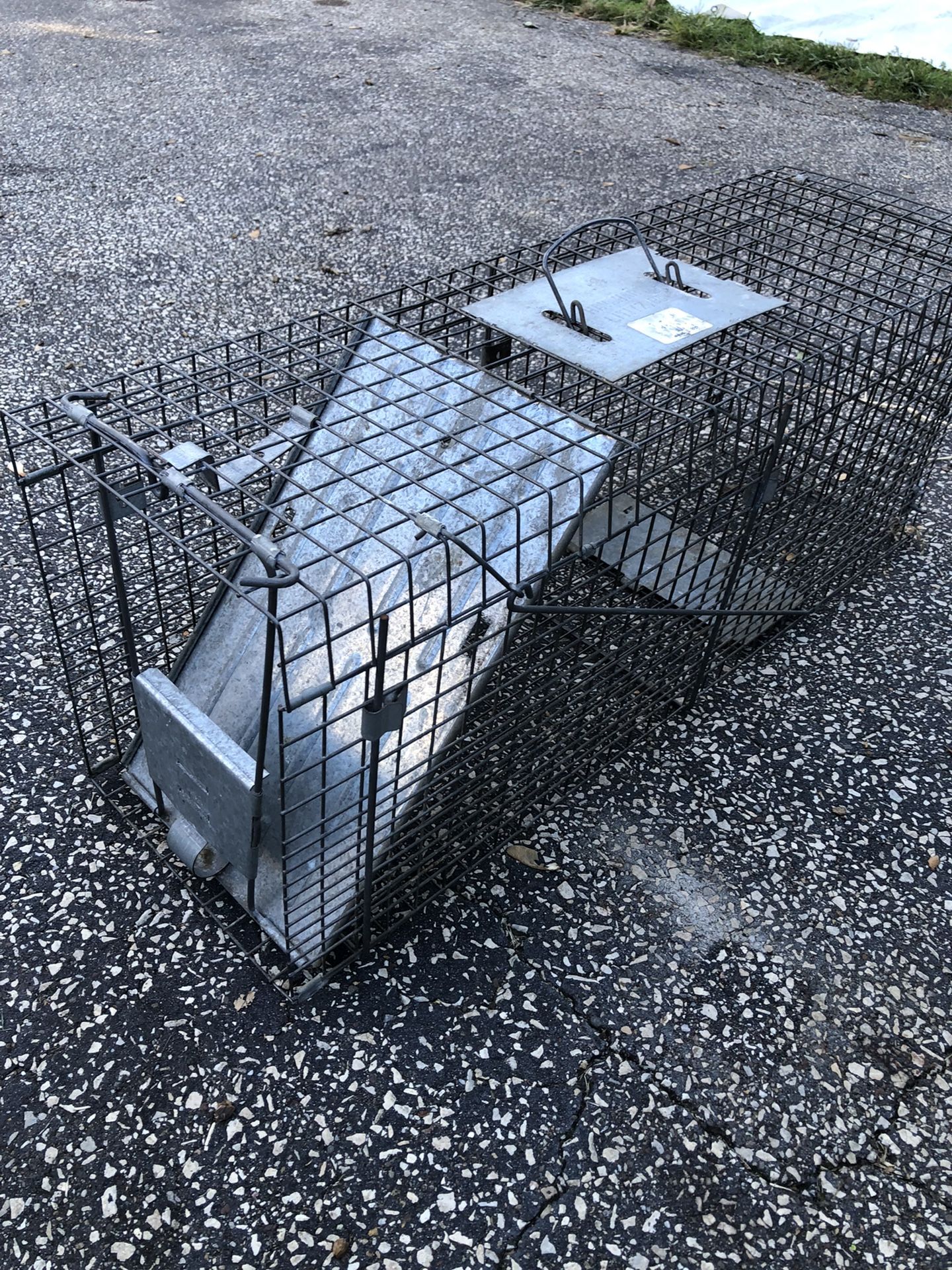 Humane Animal Trap