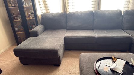 Sofa section sofa