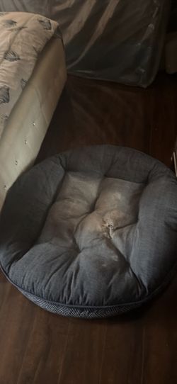 Cat dog bed