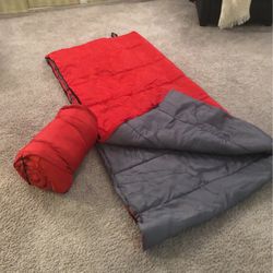 2-Youth Sized Sleeping Bags