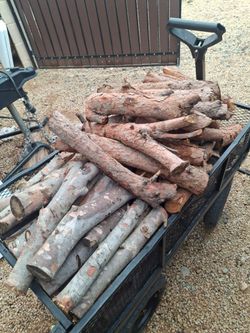 Firewood