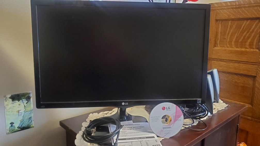 22" Full HD LED LG Monitor
