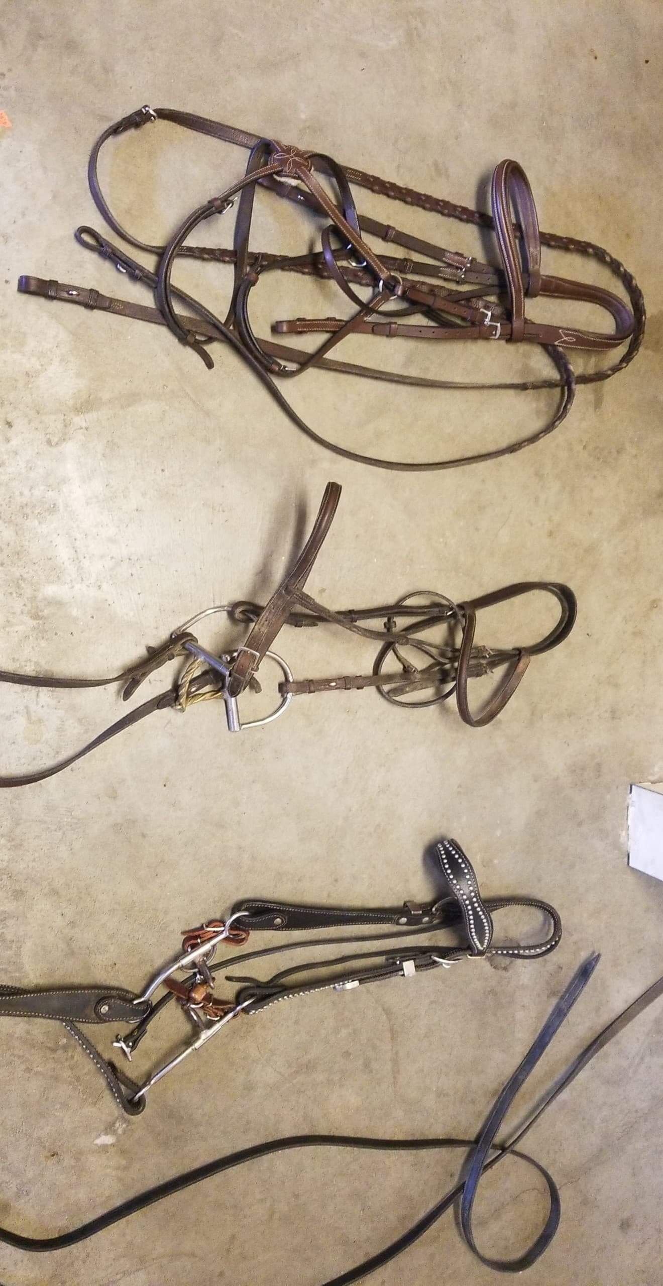 3 different bridle