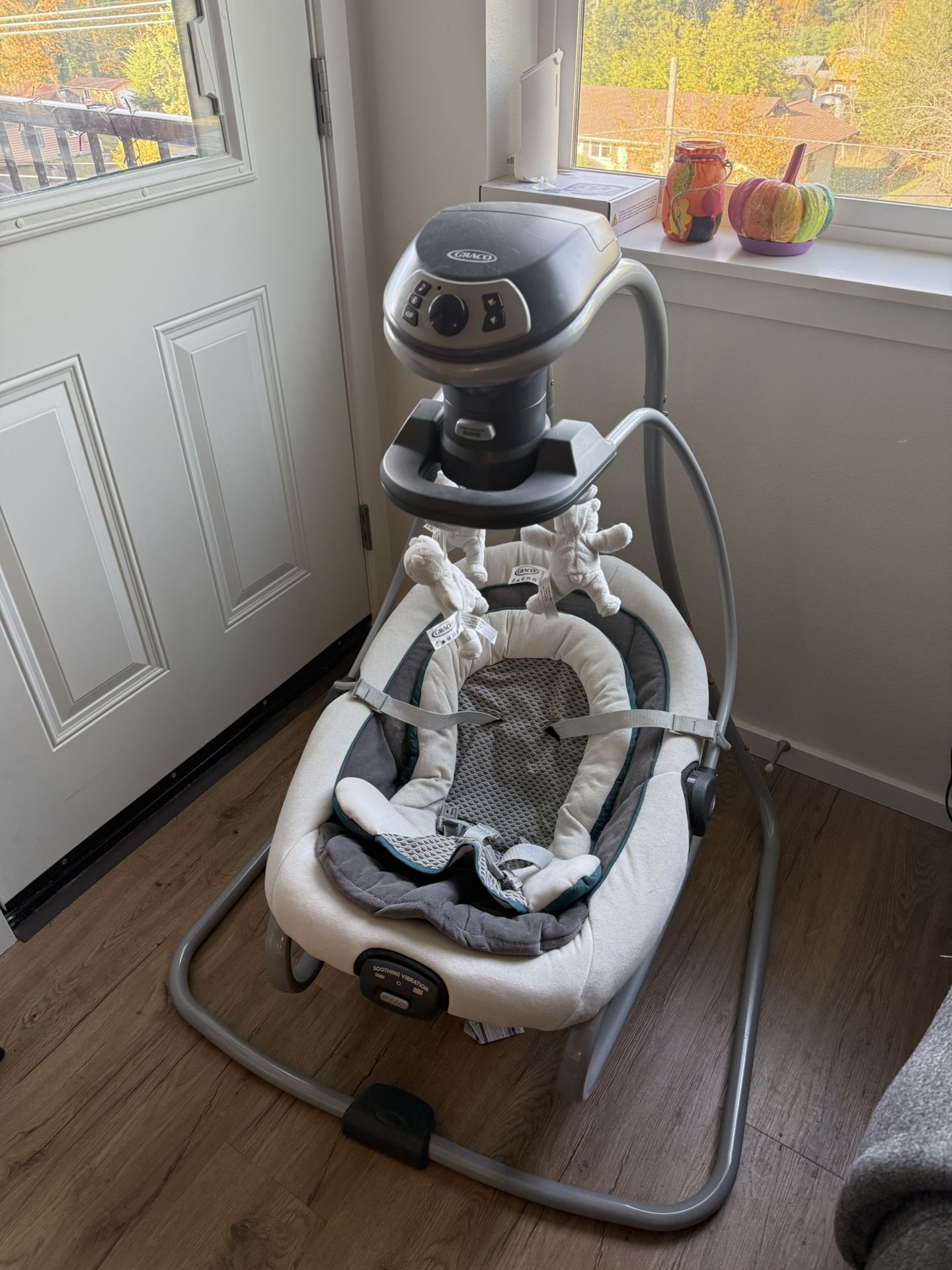 Graco Baby Swing and Rocker 