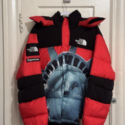SUPREME/THE NORTH FACE STATUE OF LIBERTY BALTORO JACKET