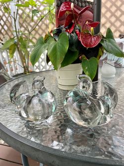 Glass Birds