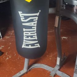 Everlast Punching Bag, and Stand