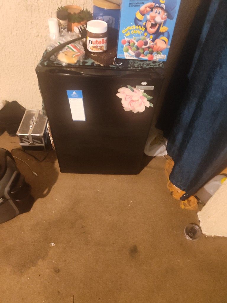 Mini Fridge
