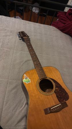 Fender model f-210