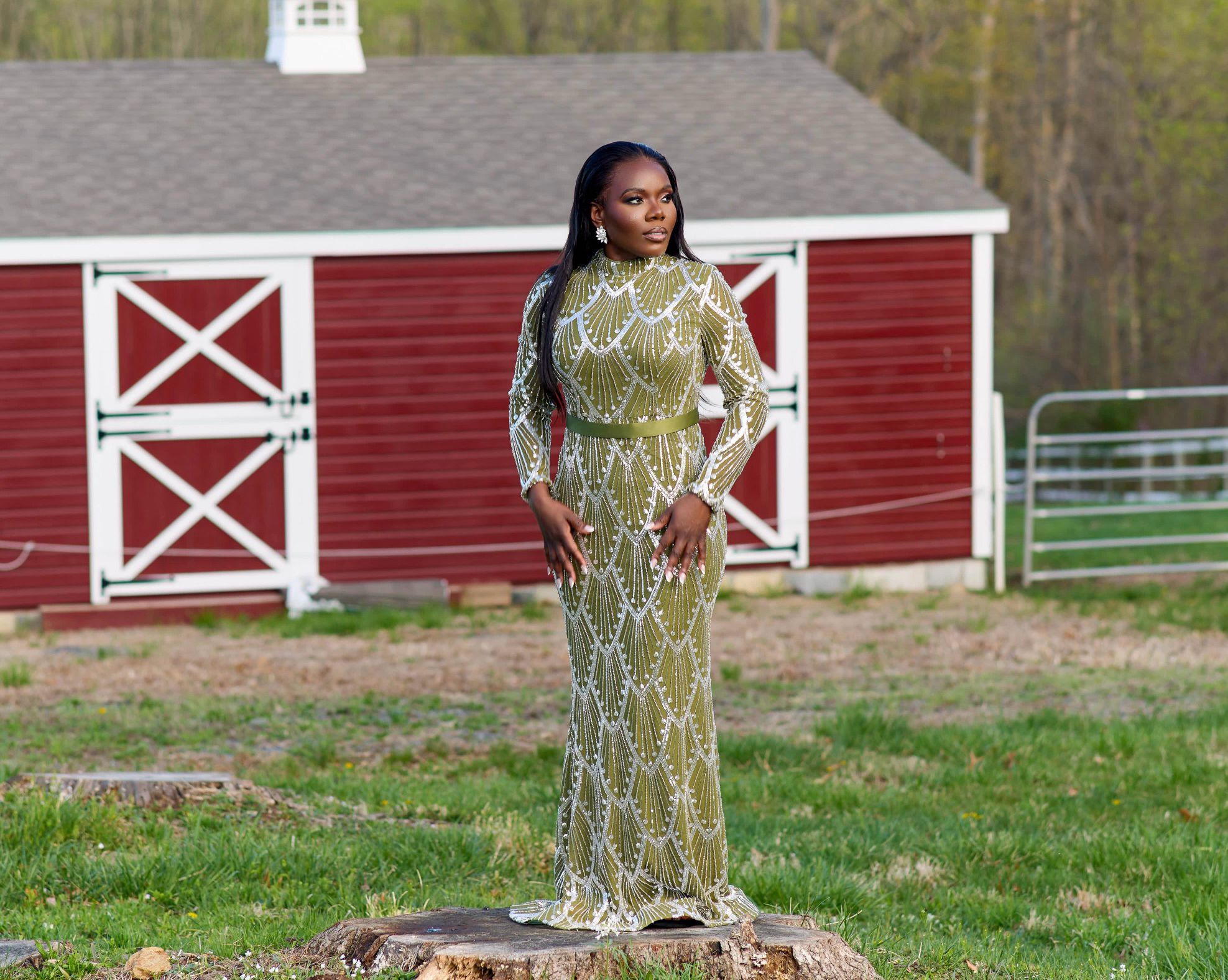 Elegant Evening Gown Haute Glamour Elegant Mock Neck Mermaid Hem Graphic Sequin Formal Party Dress