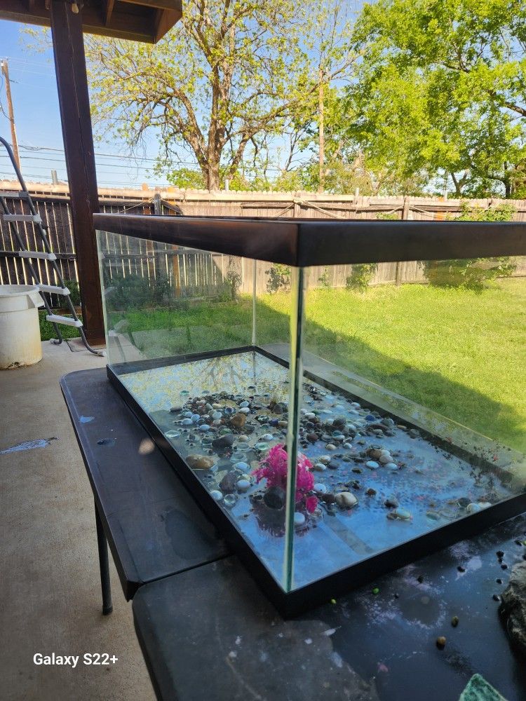 Fish Or Reptile Tank