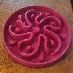 Pink Slow Feeder 