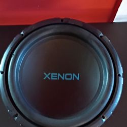 12" Subwoofer (BUDGET)
