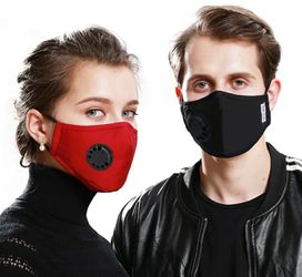 2 face mask with filter