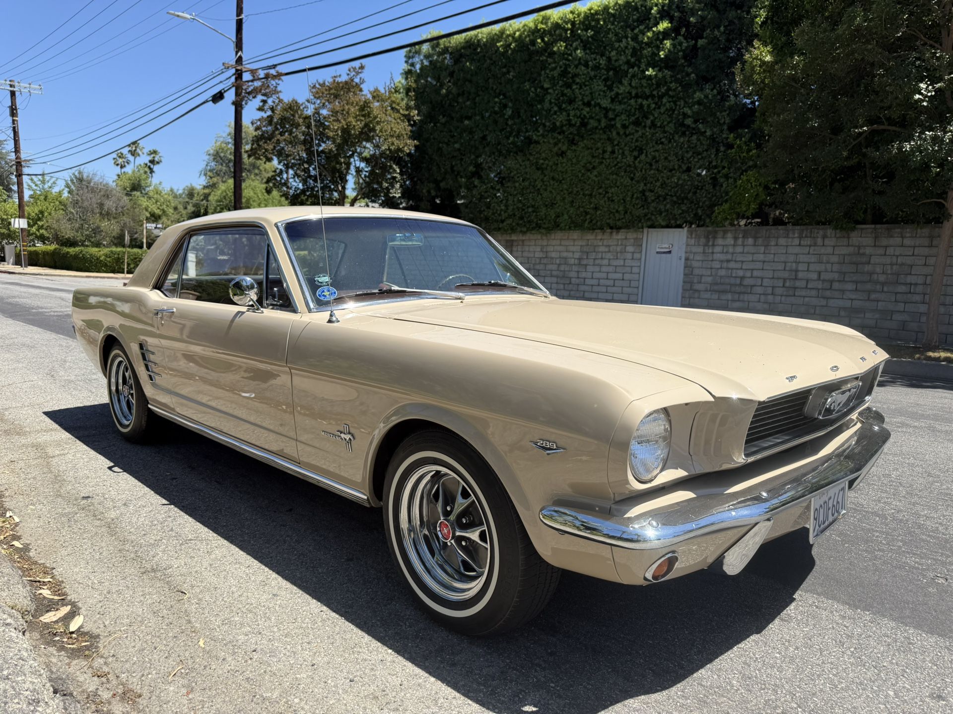 1966 Ford Mustang