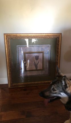 Beautiful pic better frame like 2 in 1 frame