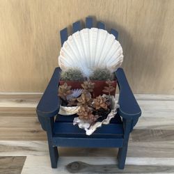 Succulent Plants on Chair 