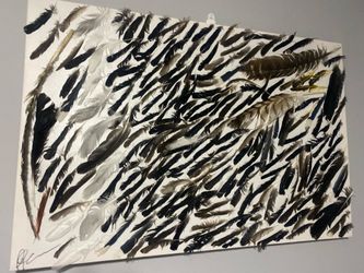Feathers