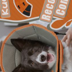 Kuoser Soft Dog Protective Wound Collar 