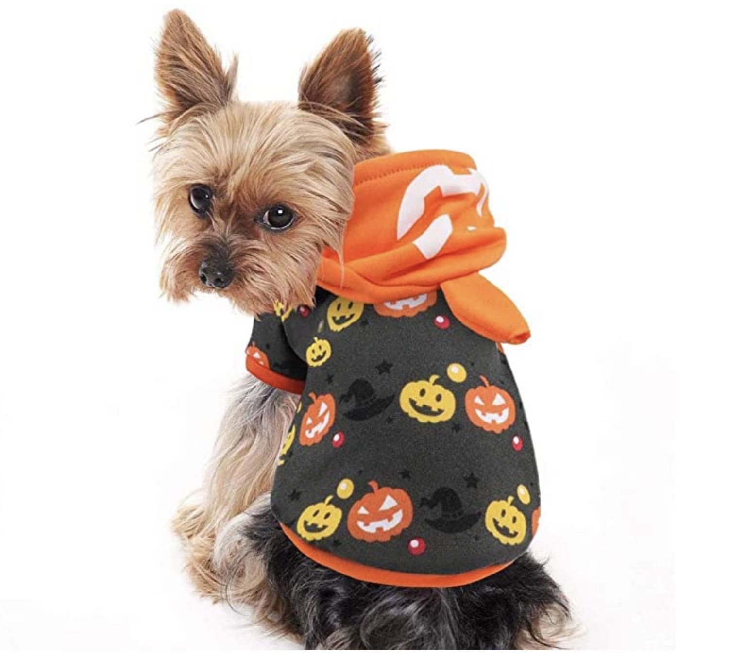 Halloween For Dog Costume   (size XXL)