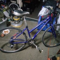 Females Cannondale