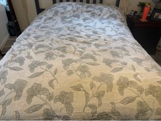 Rachel Zoe Comforter