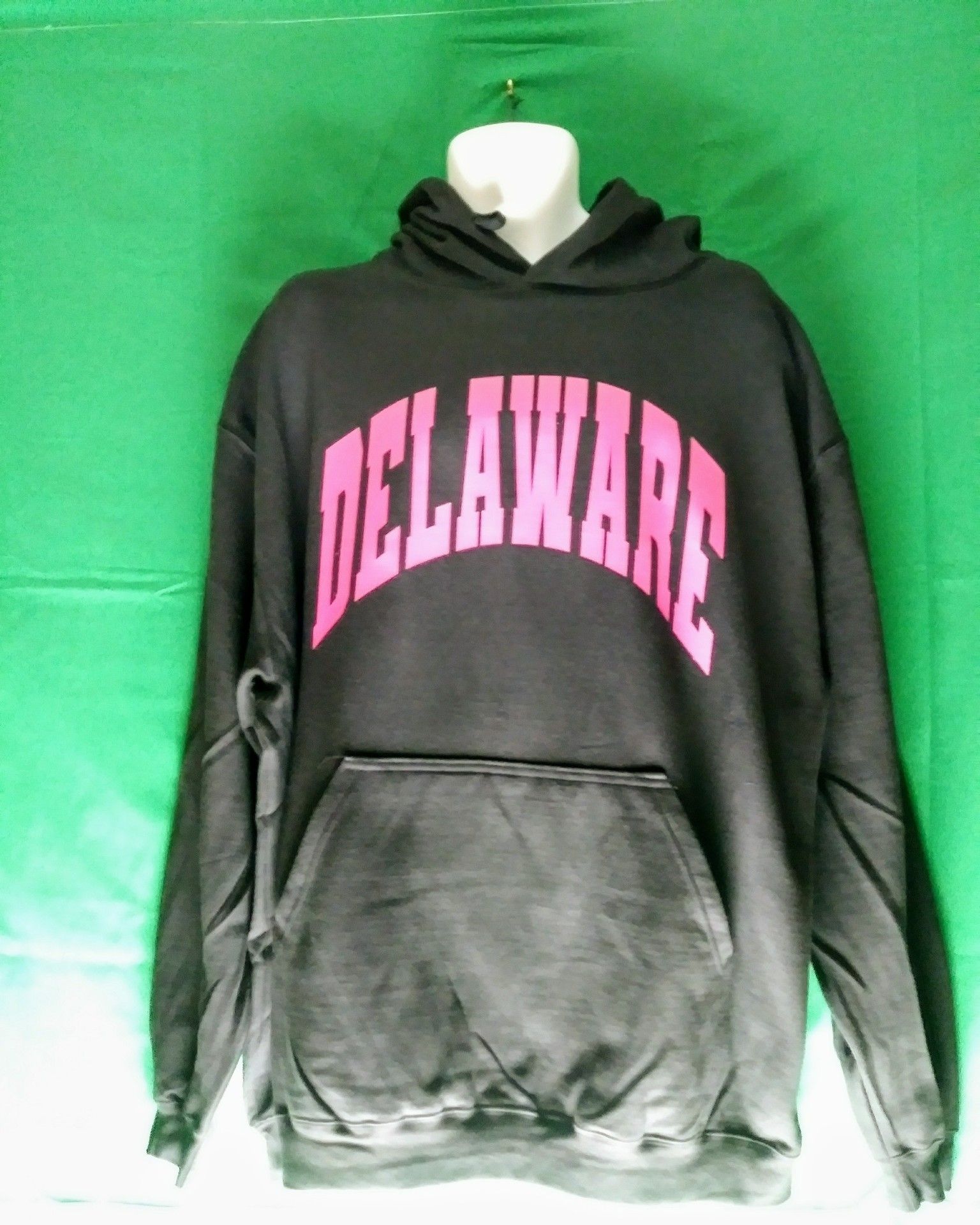 Delaware hoodie