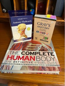 Full anatomy study set